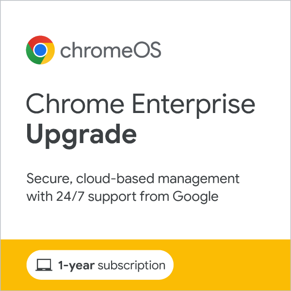 Chrome Enterprise Upgrade - Annual